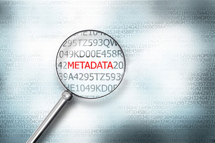 metadata-metadatos