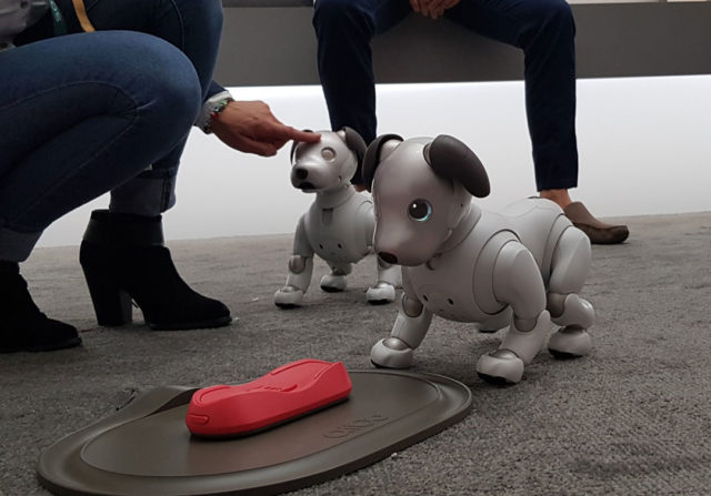 Aibo, el perro inteligente de Sony que busca alegrar tu día