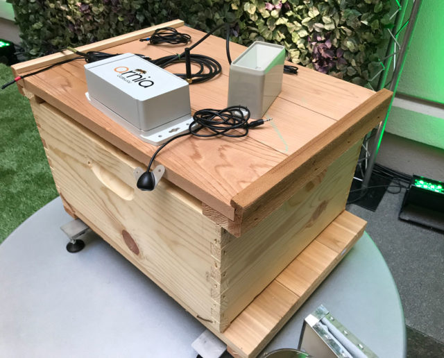 Sensores en panal de abejas del World Bee Project